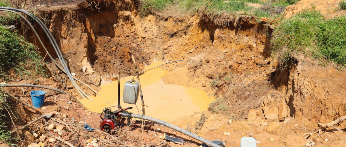 Environmental crime caused by illegal mining in Central Africa ENACT