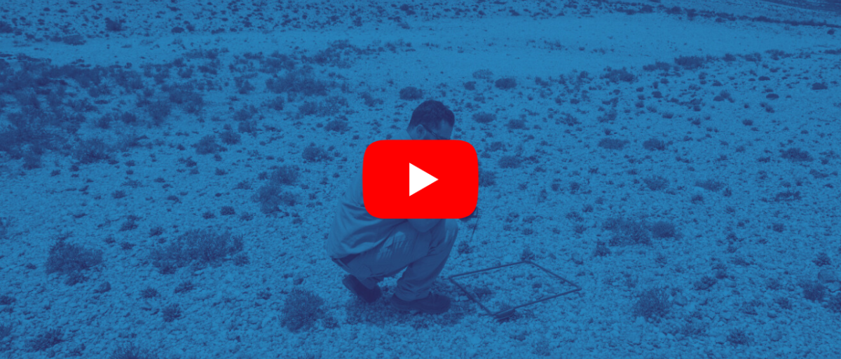 ENACT Live How is Southern Africa dealing with trafficking in plants